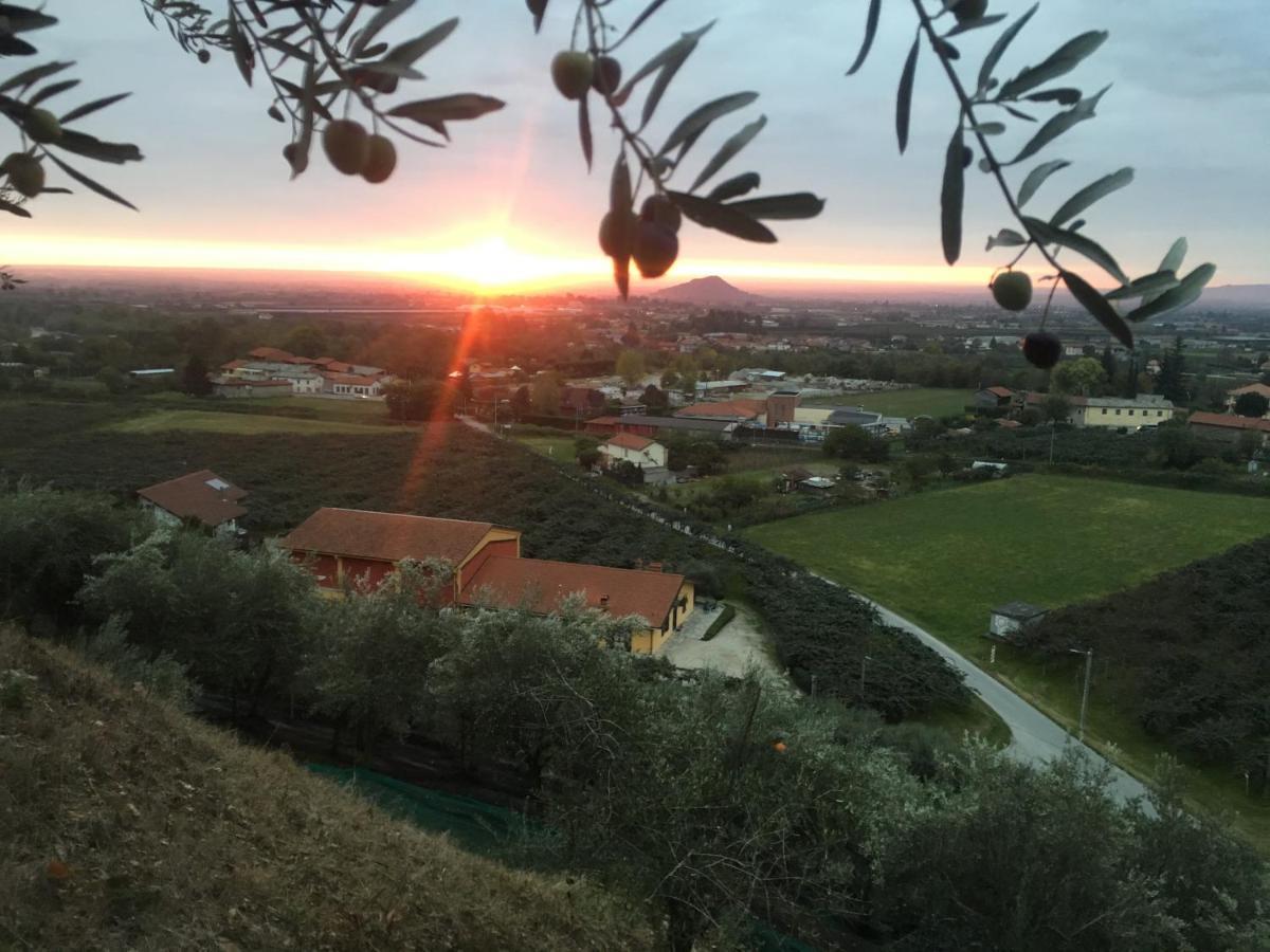 Bed and Breakfast Agrialpi By Salfrutta Bricherasio Exterior foto