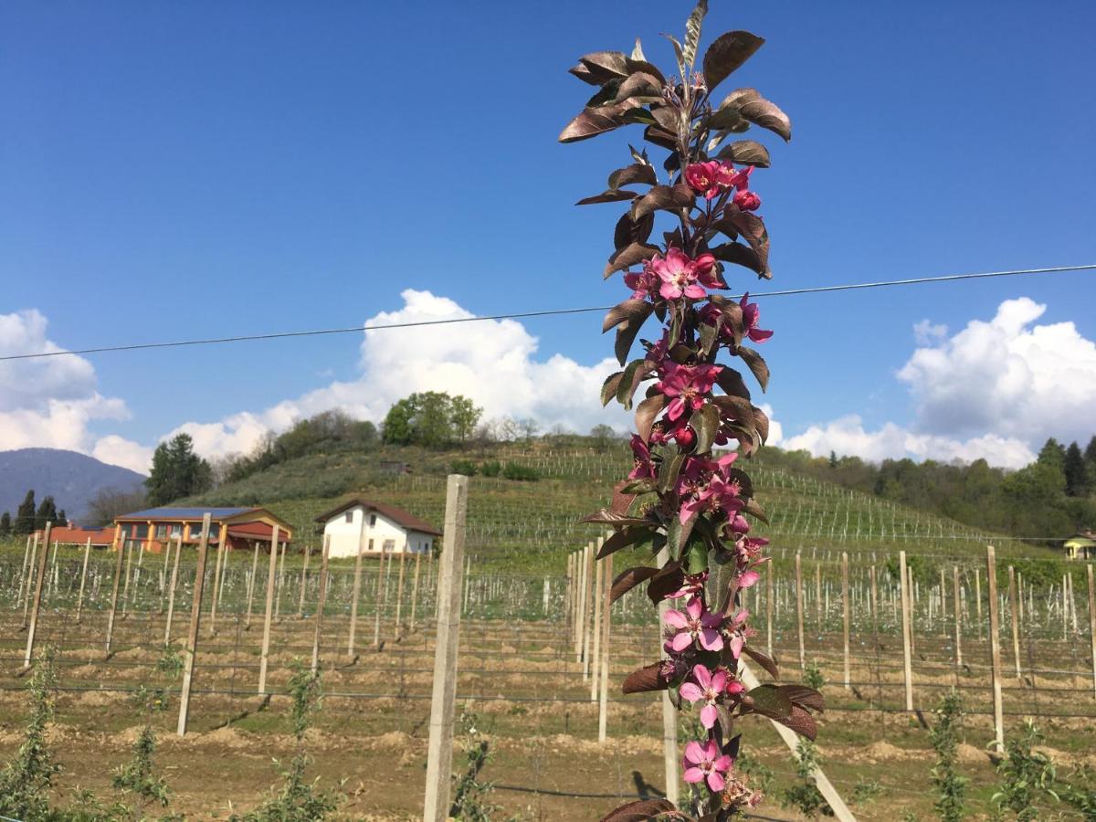 Bed and Breakfast Agrialpi By Salfrutta Bricherasio Exterior foto