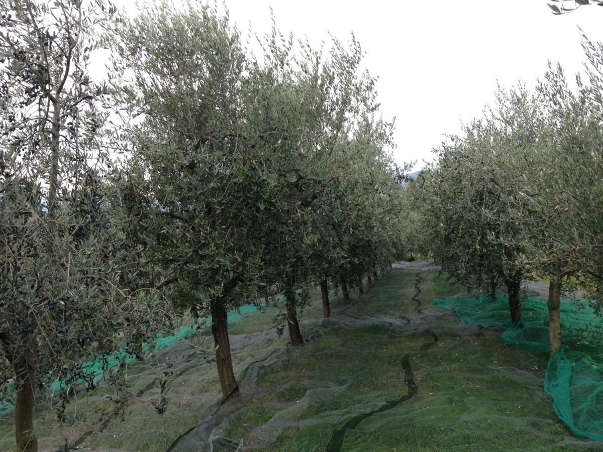 Bed and Breakfast Agrialpi By Salfrutta Bricherasio Exterior foto