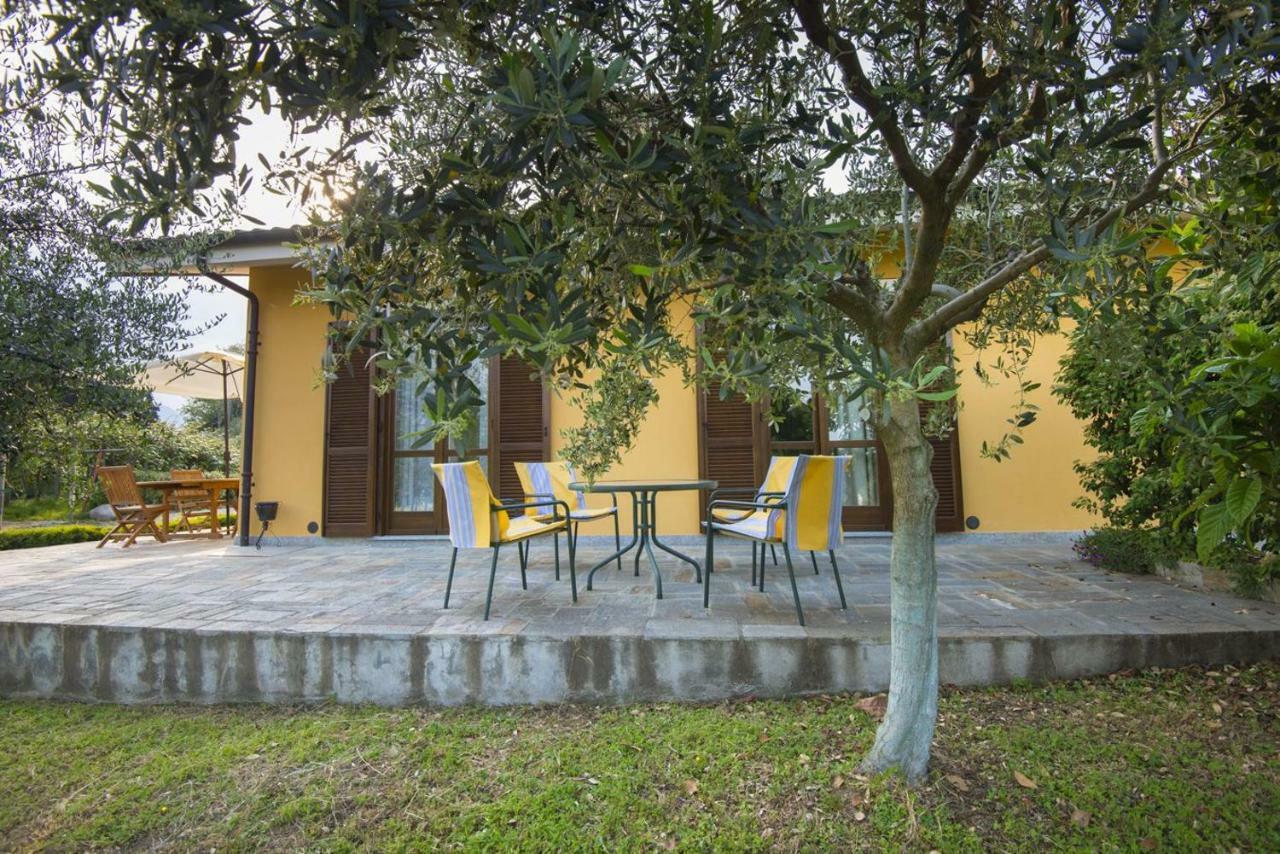 Bed and Breakfast Agrialpi By Salfrutta Bricherasio Exterior foto