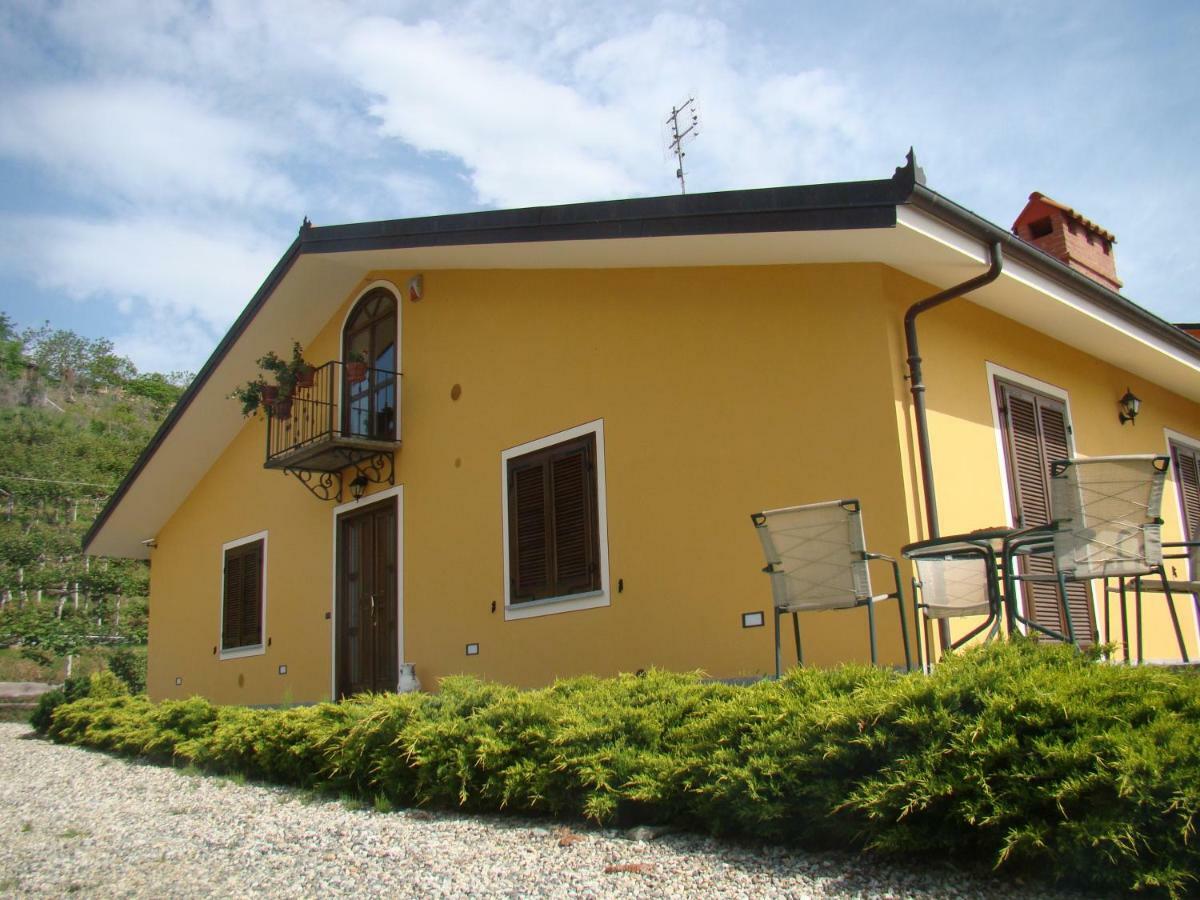 Bed and Breakfast Agrialpi By Salfrutta Bricherasio Exterior foto